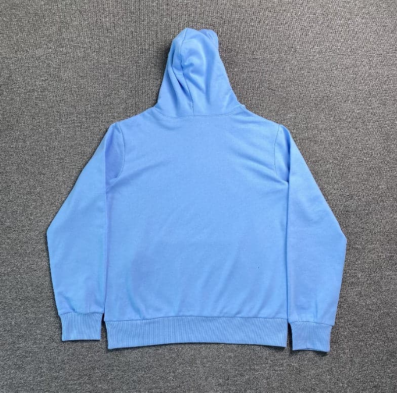 Sweat à capuche bleu ciel classique Web